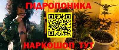 мяу мяу мука Азнакаево