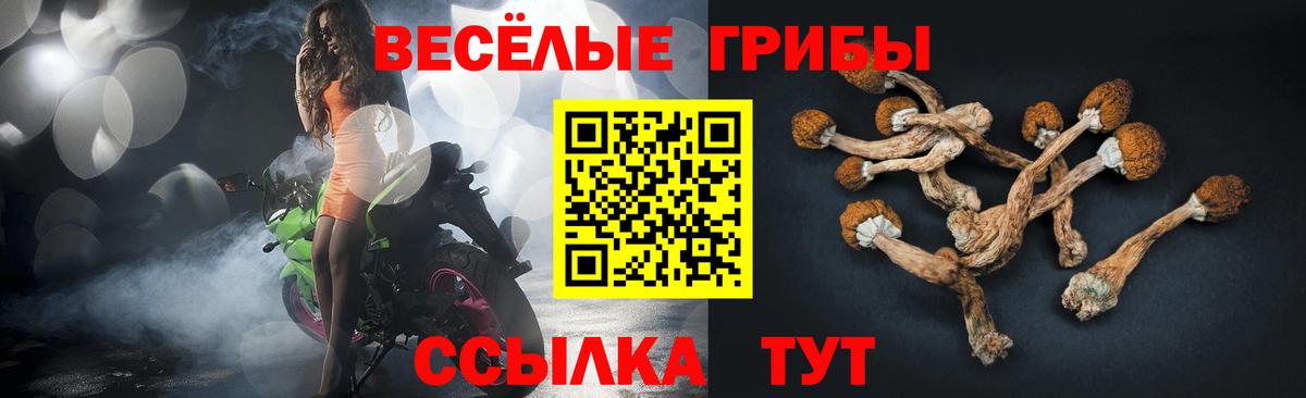 Галлюциногенные грибы GOLDEN TEACHER  Вход с VPN  Азнакаево 